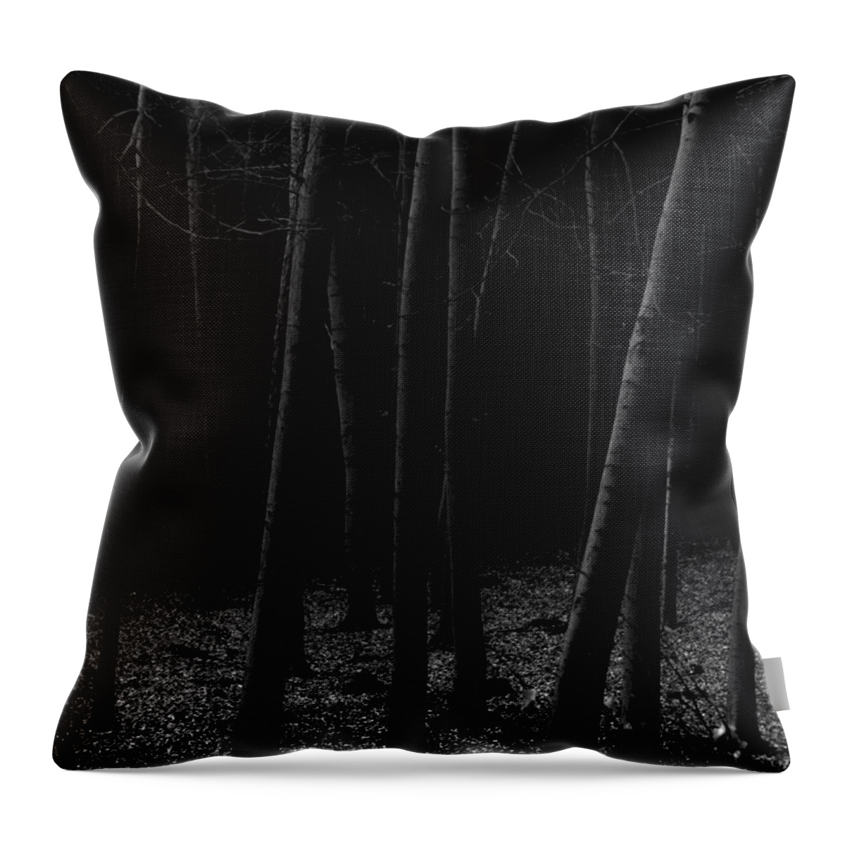 Fine Art Throw Pillow featuring the photograph Silent Woods by Dorit Fuhg