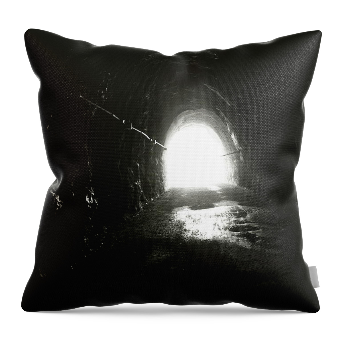 Varazze Throw Pillow featuring the photograph Into the Light by Mary Kobet