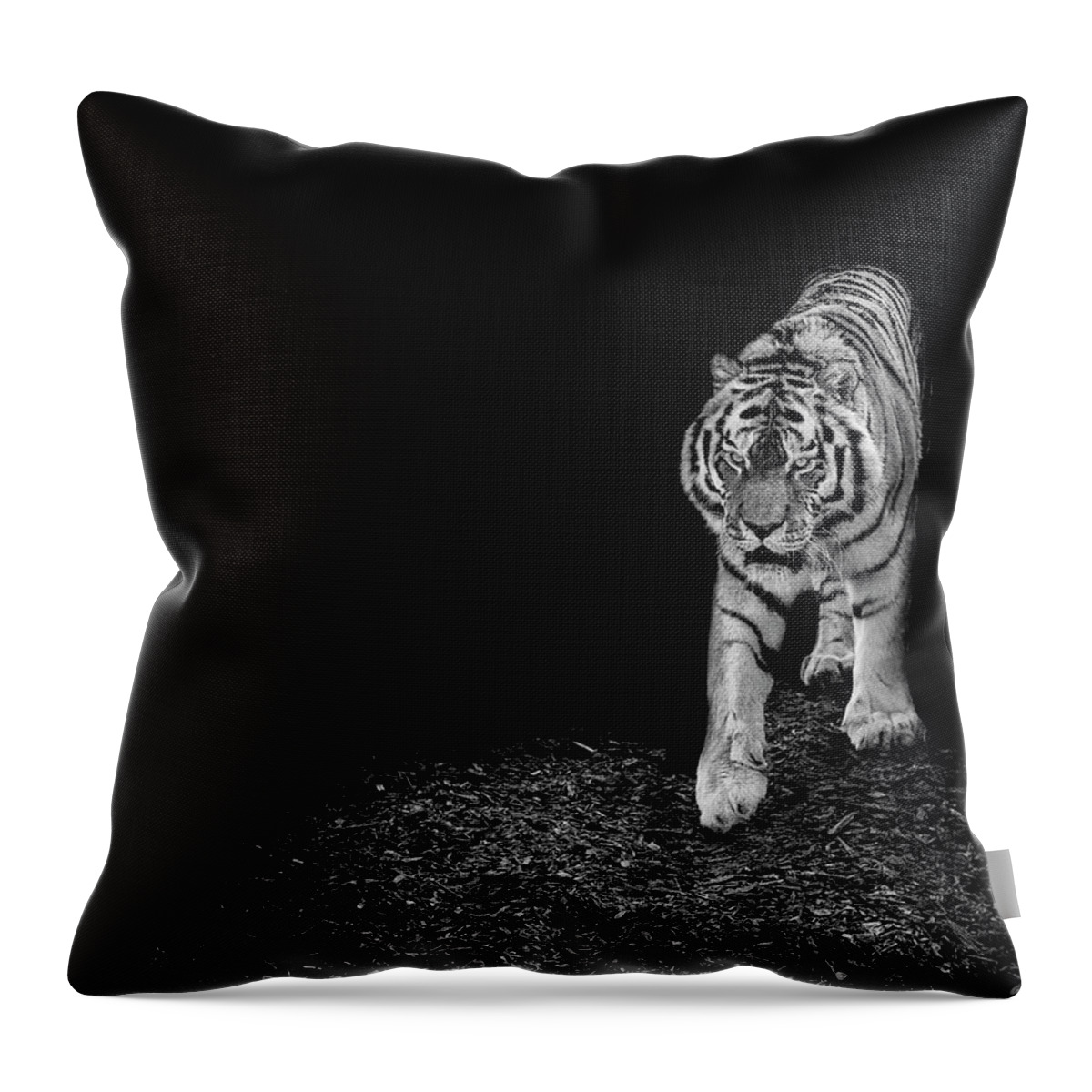 Amur Throw Pillow featuring the photograph Into the light by Paul Neville
