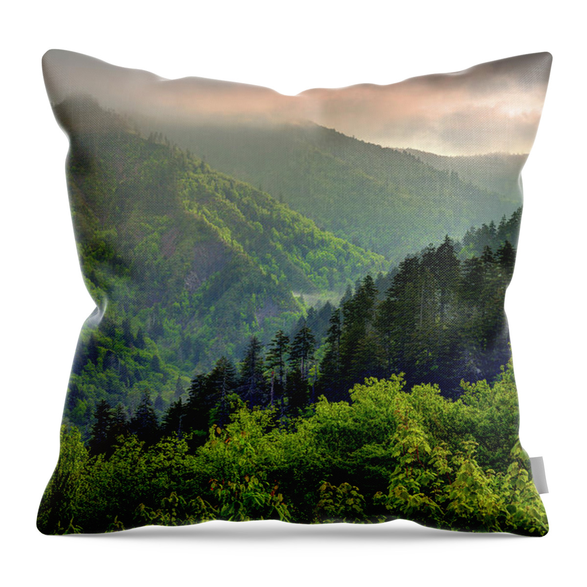 Smoky Mountains Throw Pillow featuring the photograph Into The Smokies by Mike Eingle