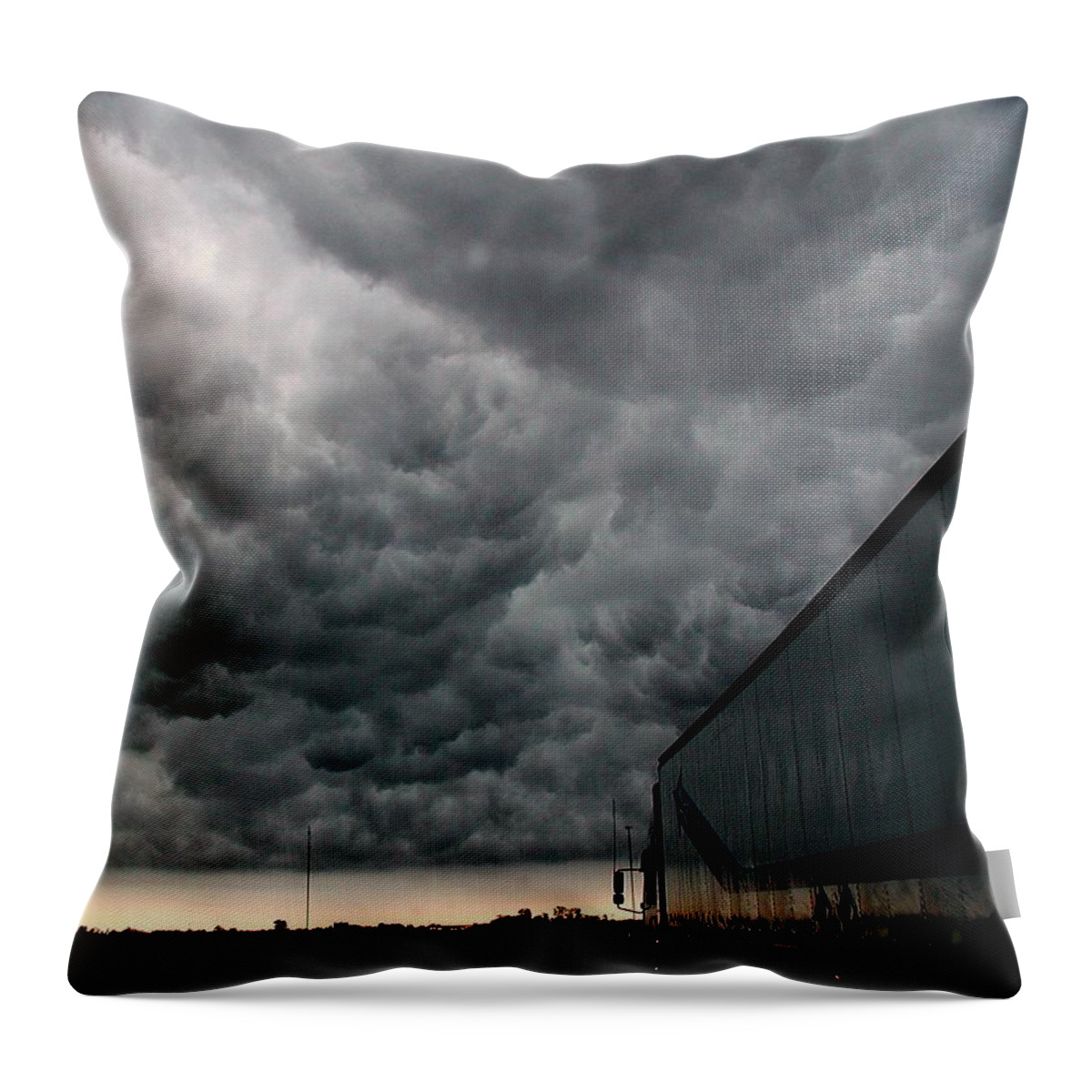 Storm Throw Pillow featuring the photograph Into The Storm by DArcy Evans