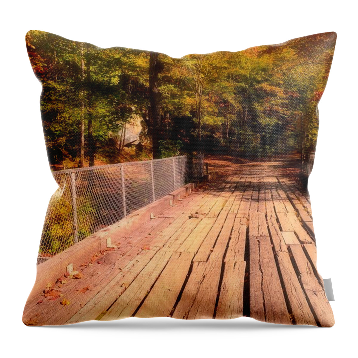Nature Footpath Throw Pillow featuring the photograph Into the Woods we Go by Stacie Siemsen