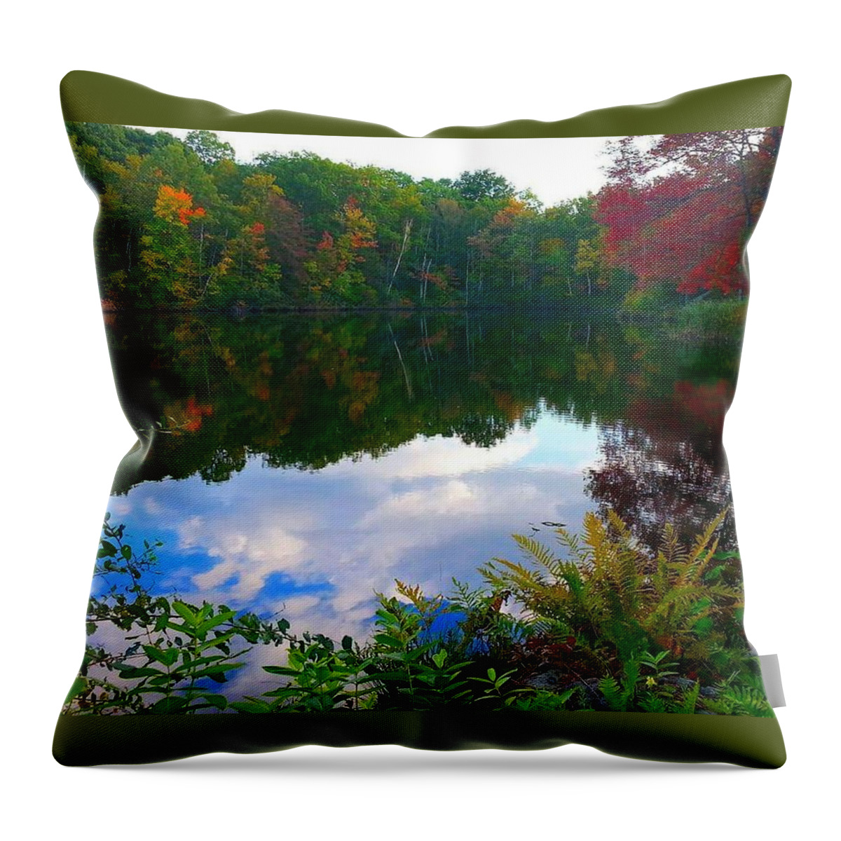 Autumn Throw Pillow featuring the photograph Introvert by Dani McEvoy