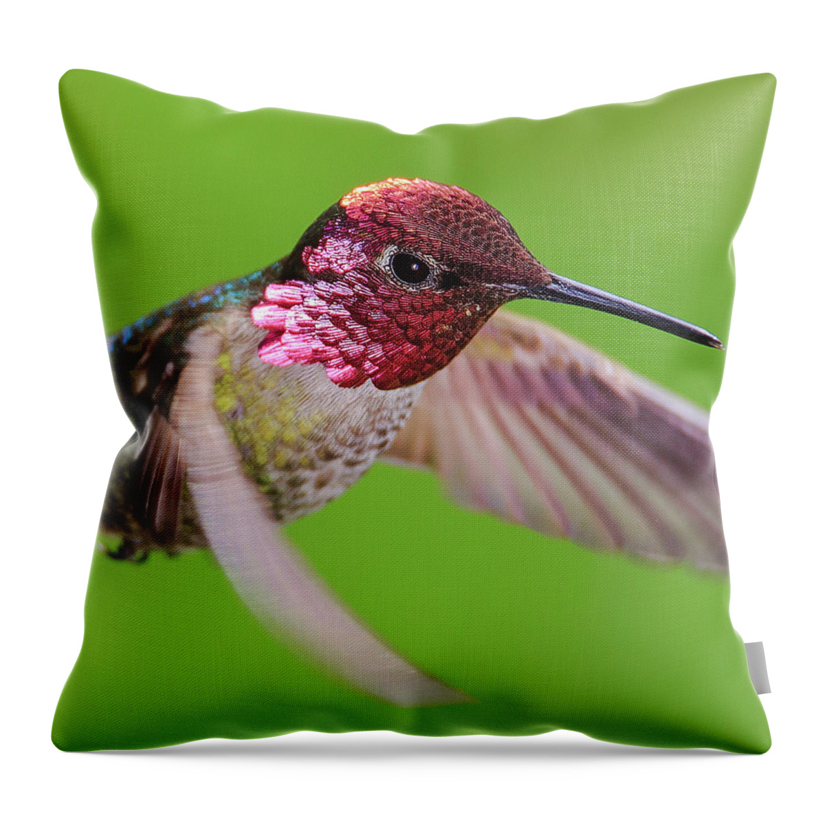Bird Throw Pillow featuring the photograph Iridescent Inquisitor by Briand Sanderson