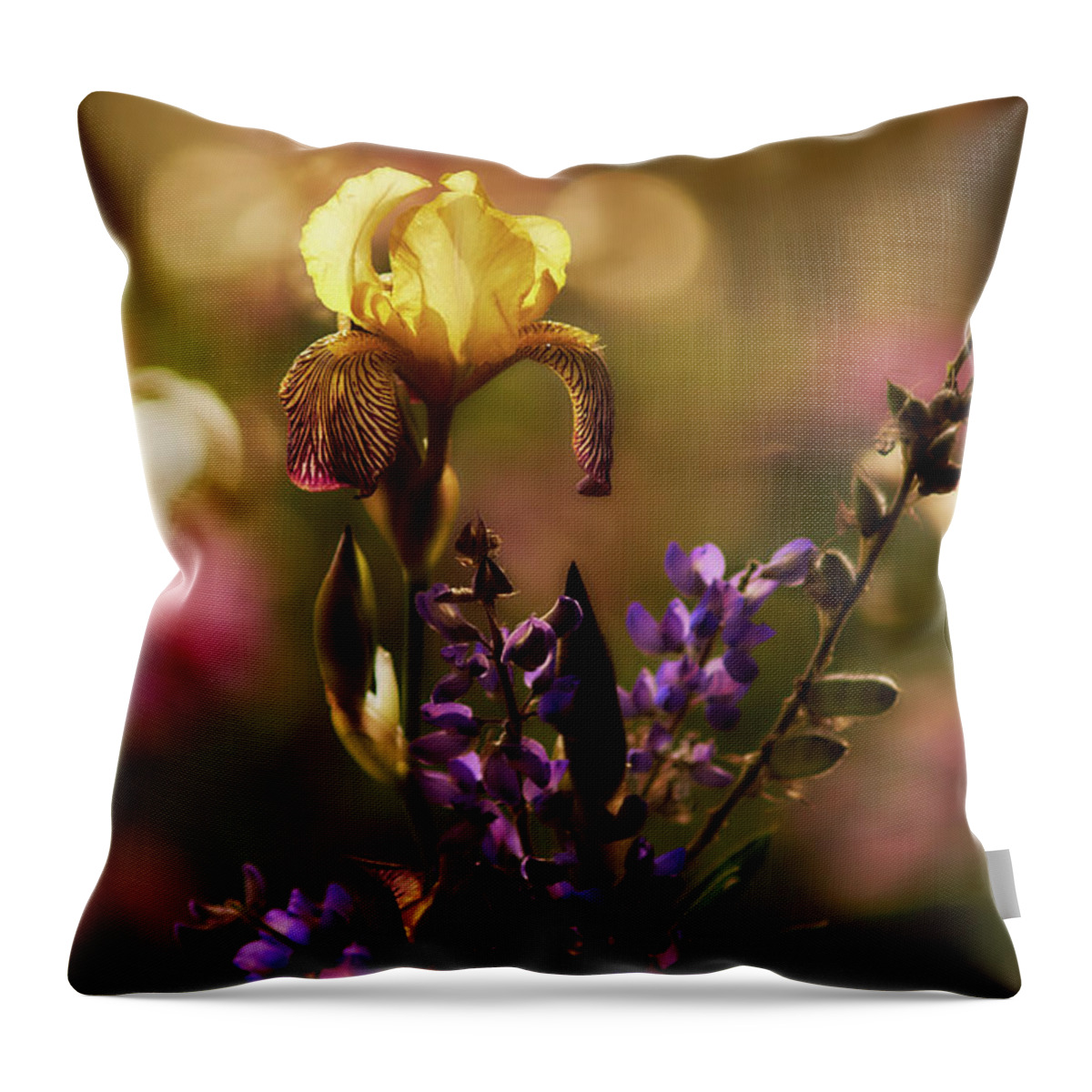 Iris Throw Pillow featuring the photograph Iris 6 by Loni Collins