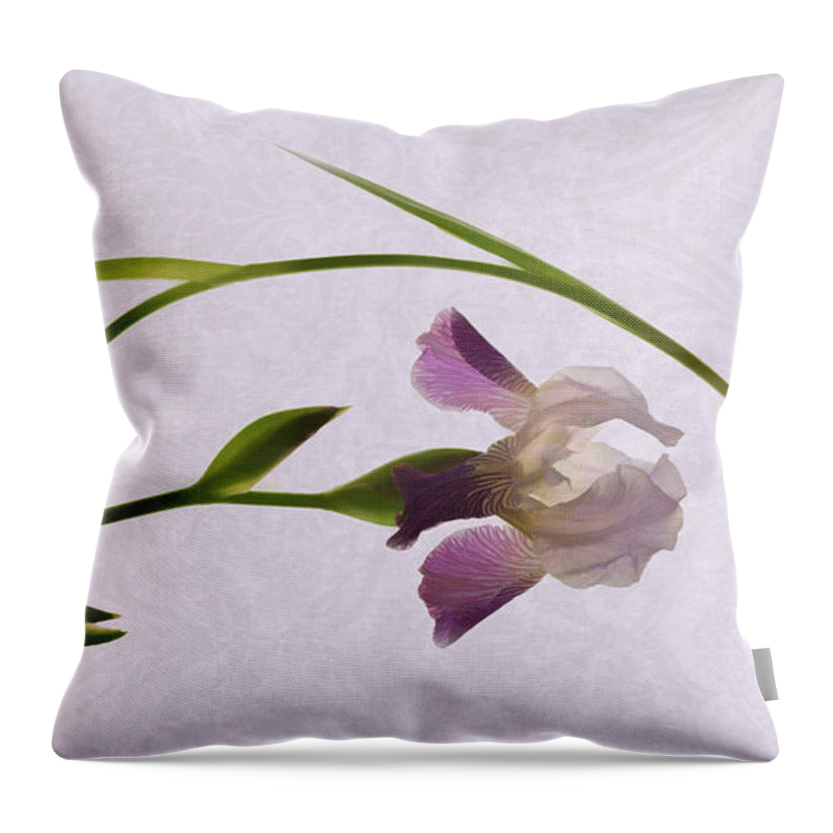 Irises Throw Pillow featuring the photograph Iris Melody by Leda Robertson