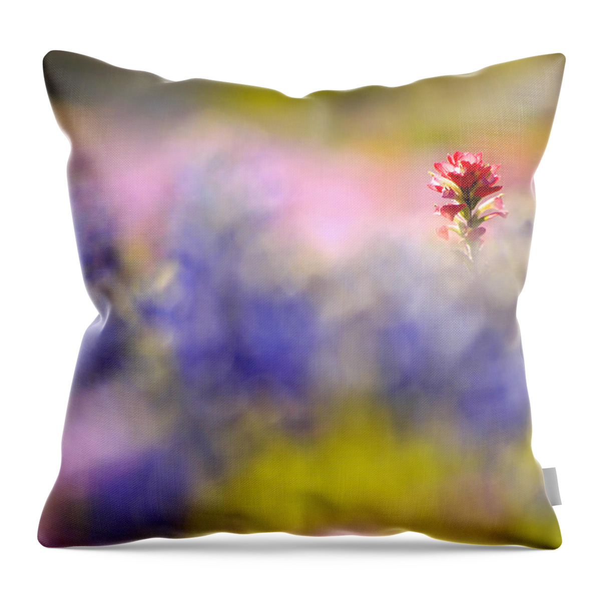 Paintbrush Throw Pillow featuring the photograph Isolated Paintbrush by Ted Keller