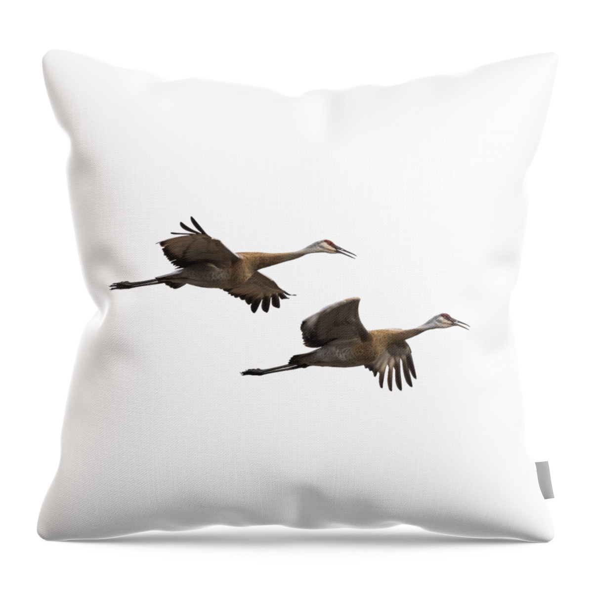 Sandhill Cranes Throw Pillow featuring the photograph Isolated Sandhill Cranes 2016-1 by Thomas Young