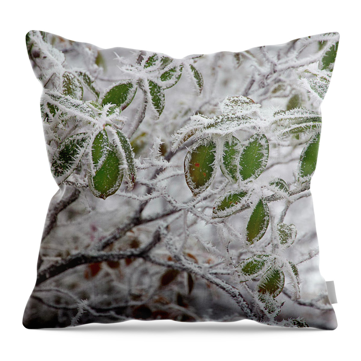 Frost Throw Pillow featuring the photograph It's Cold Outside by Mike Eingle