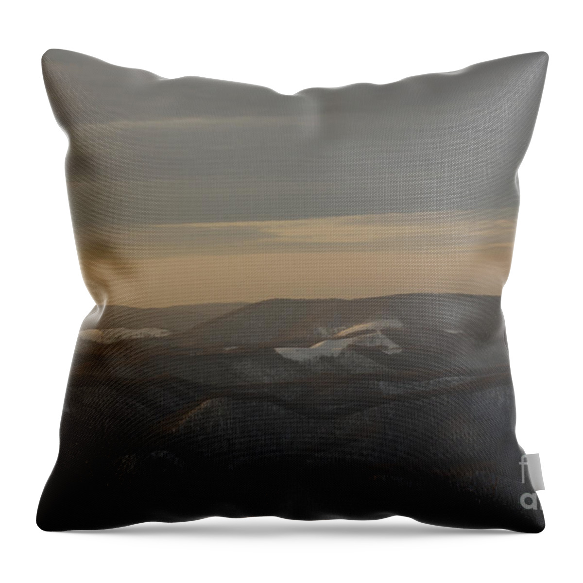 Winter Throw Pillow featuring the photograph January Evening by Randy Bodkins