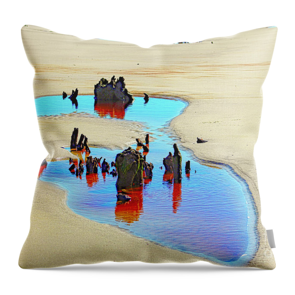 Nature Throw Pillow featuring the photograph Jekyll Driftwood Beach Puddle by DB Hayes