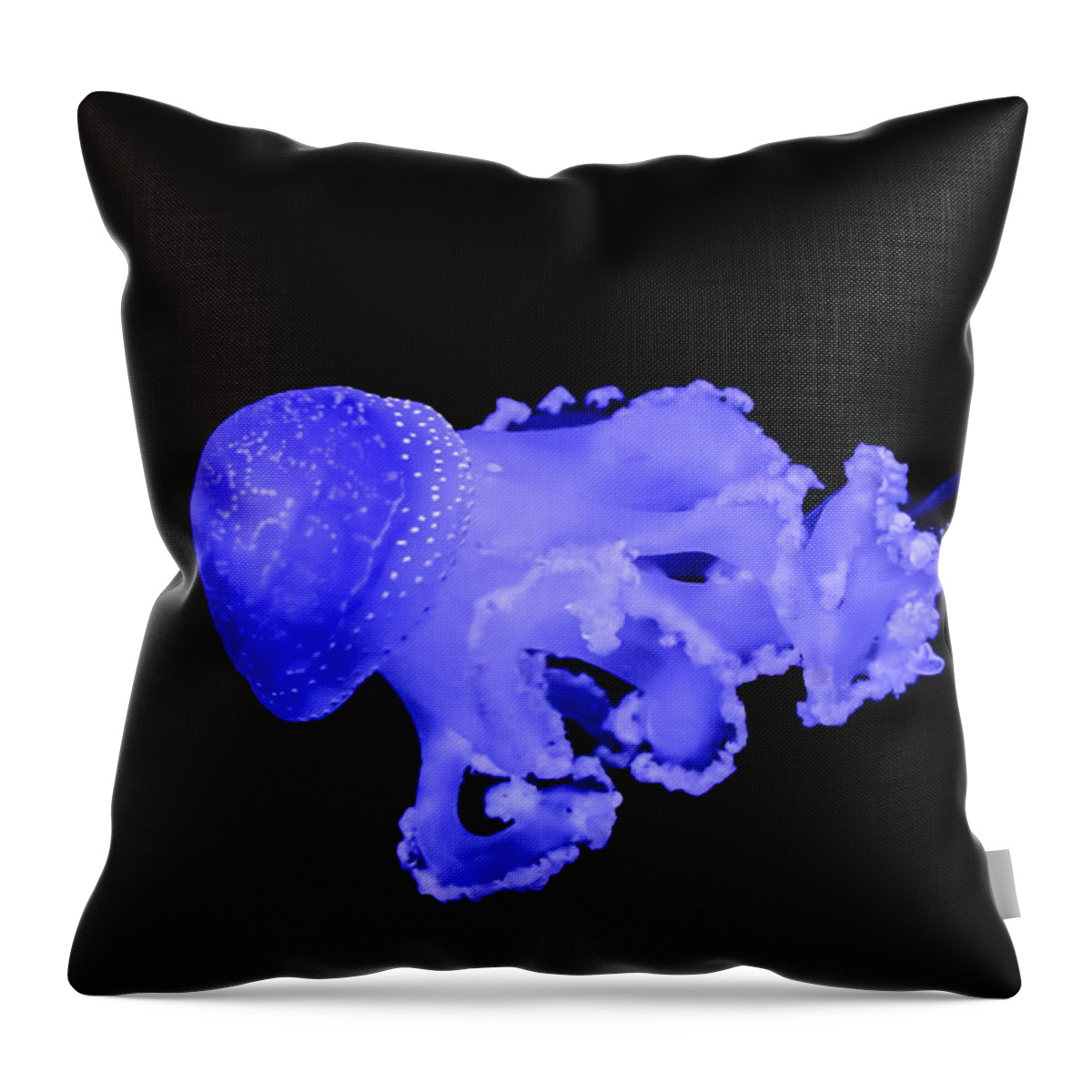Jellyfish Throw Pillow featuring the photograph Jellyfish by Amanda Mohler