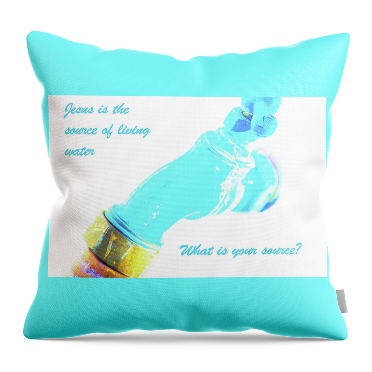 Jesus Throw Pillow featuring the photograph Jesus, Living Water by Merle Grenz