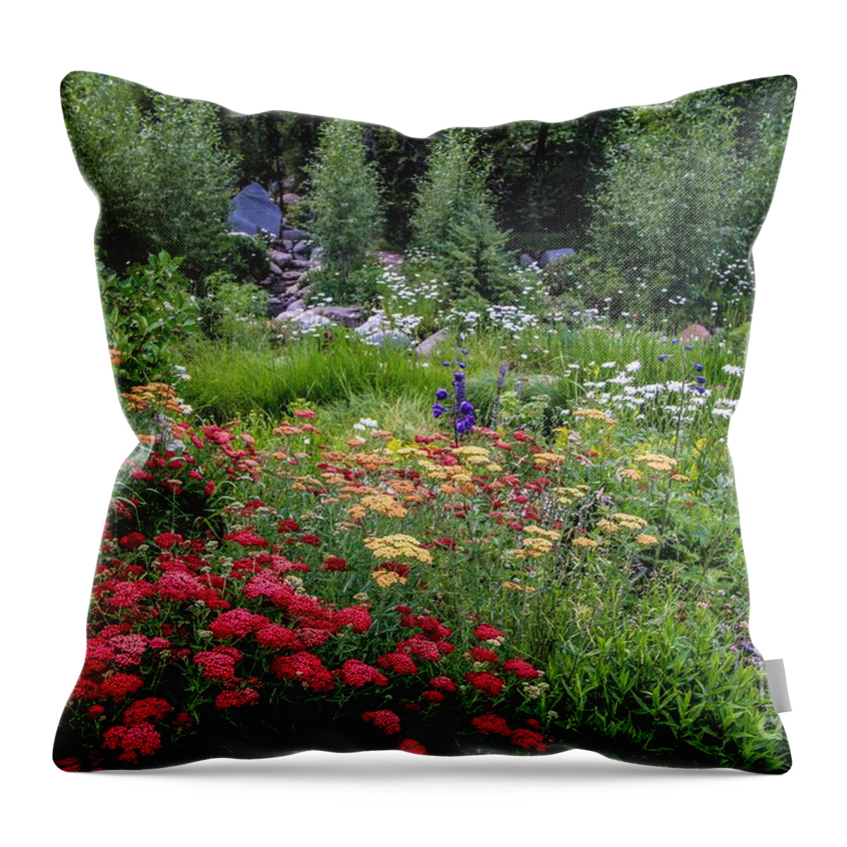 John Denver Throw Pillow featuring the photograph John Denver Sanctuary Flowers Three by Veronica Batterson