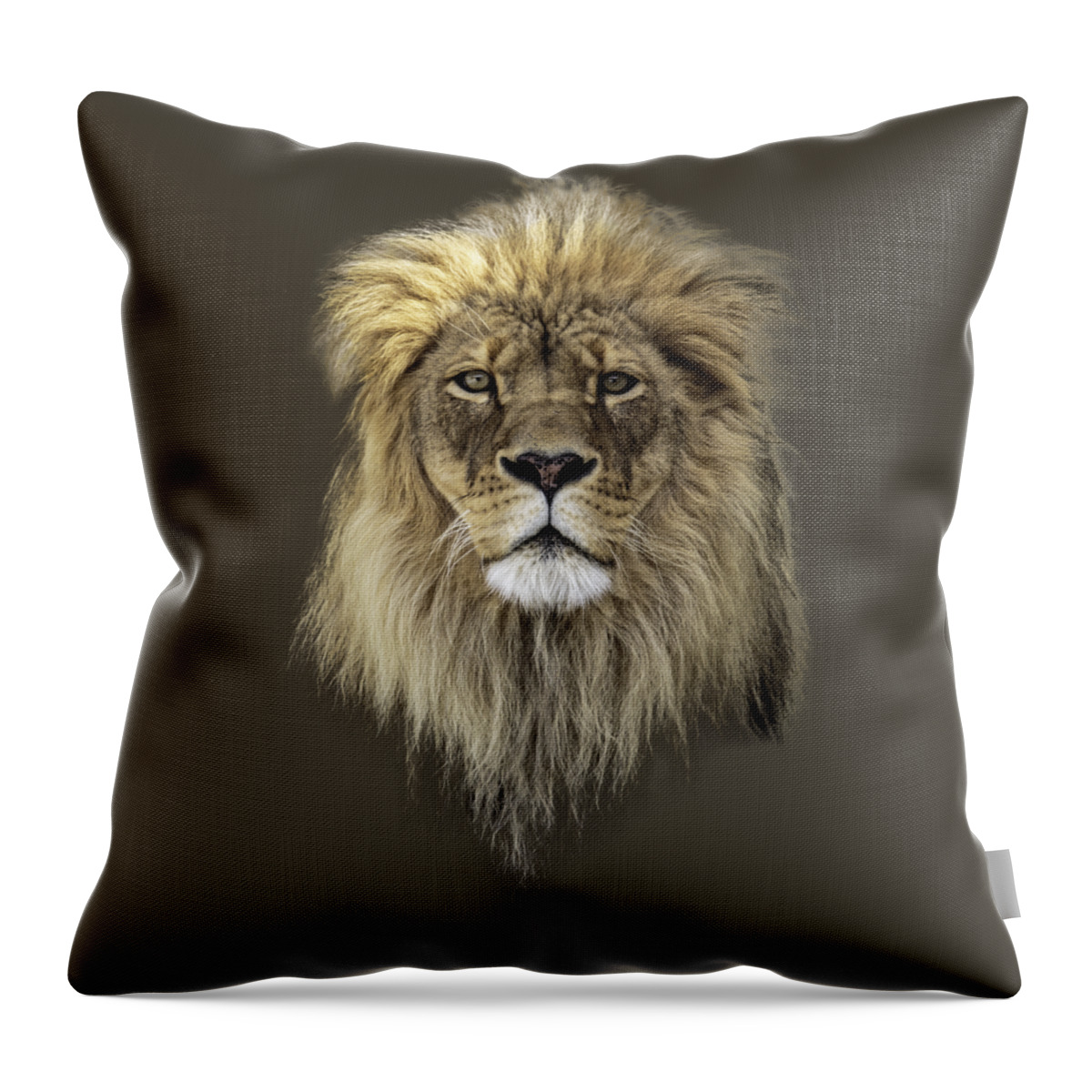Lion Throw Pillow featuring the photograph Joshua t-shirt color by Everet Regal