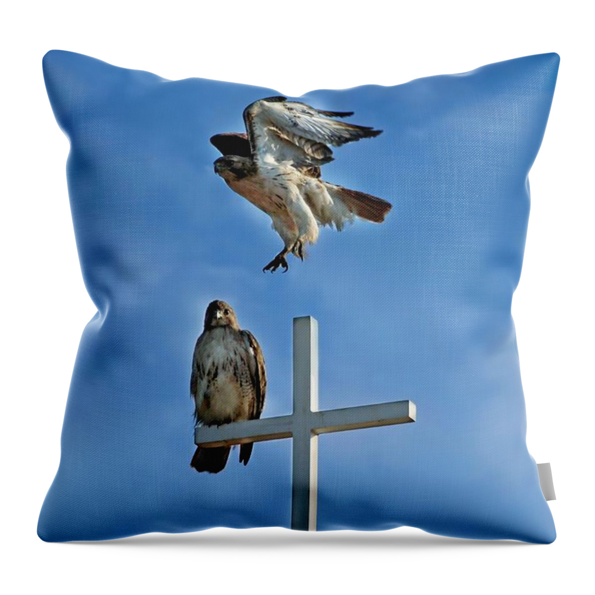 Hawk Throw Pillow featuring the photograph Jump by Jackson Pearson