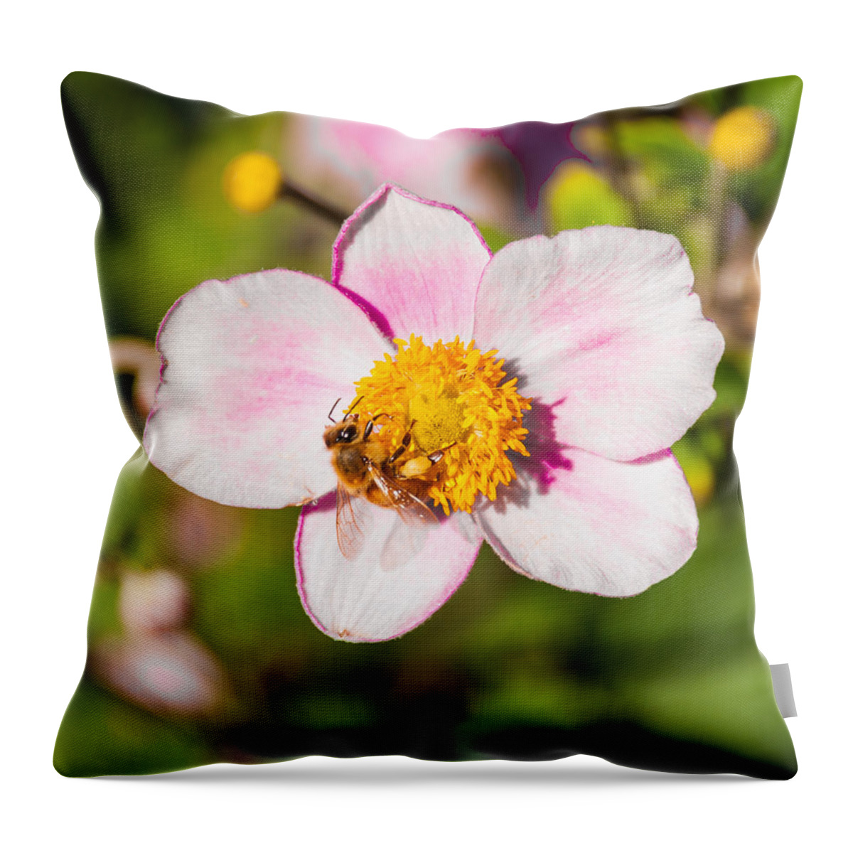 Flower Throw Pillow featuring the photograph Just A Little Sip. by Charles McCleanon