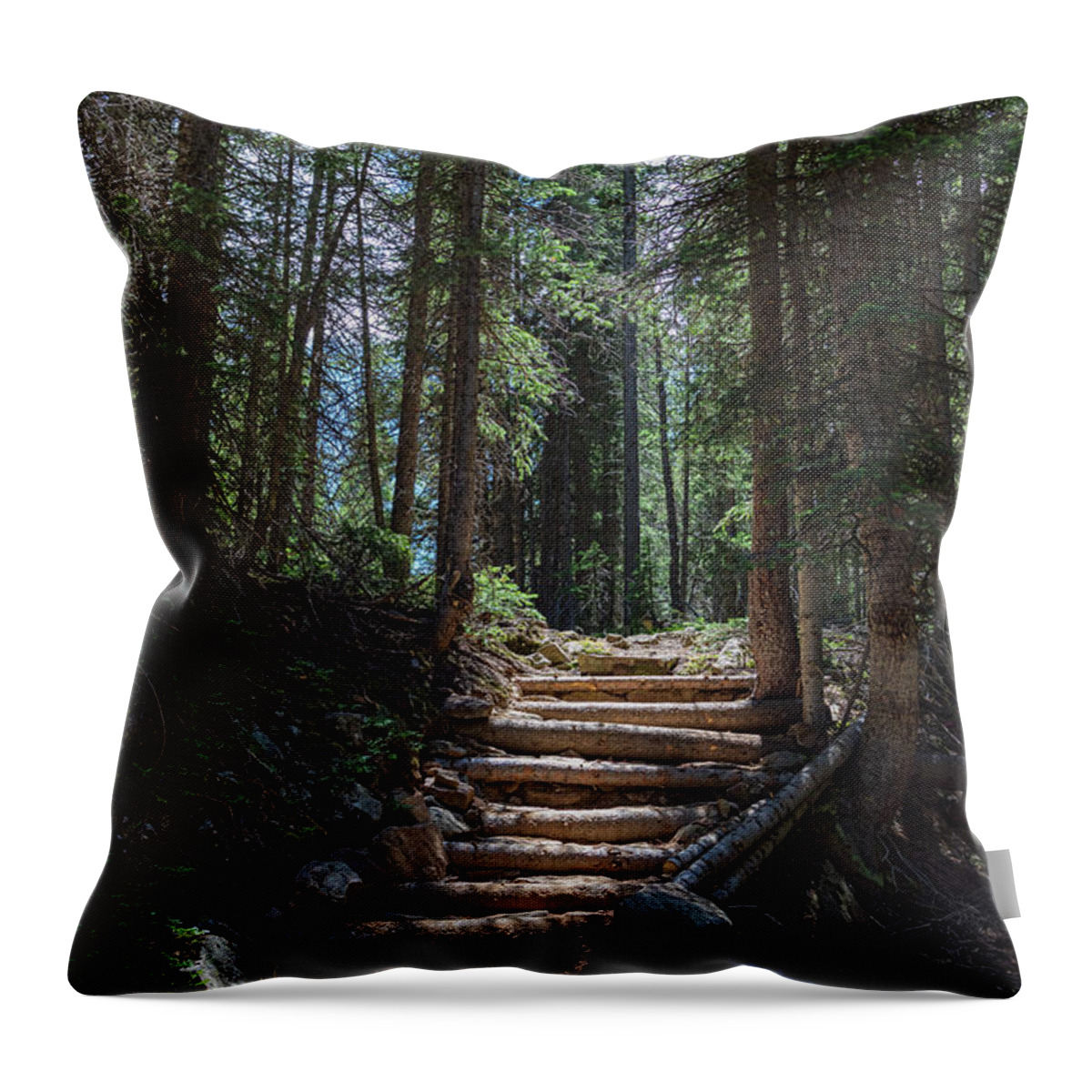 Natural Throw Pillow featuring the photograph Just Another Stairway To Heaven by James BO Insogna