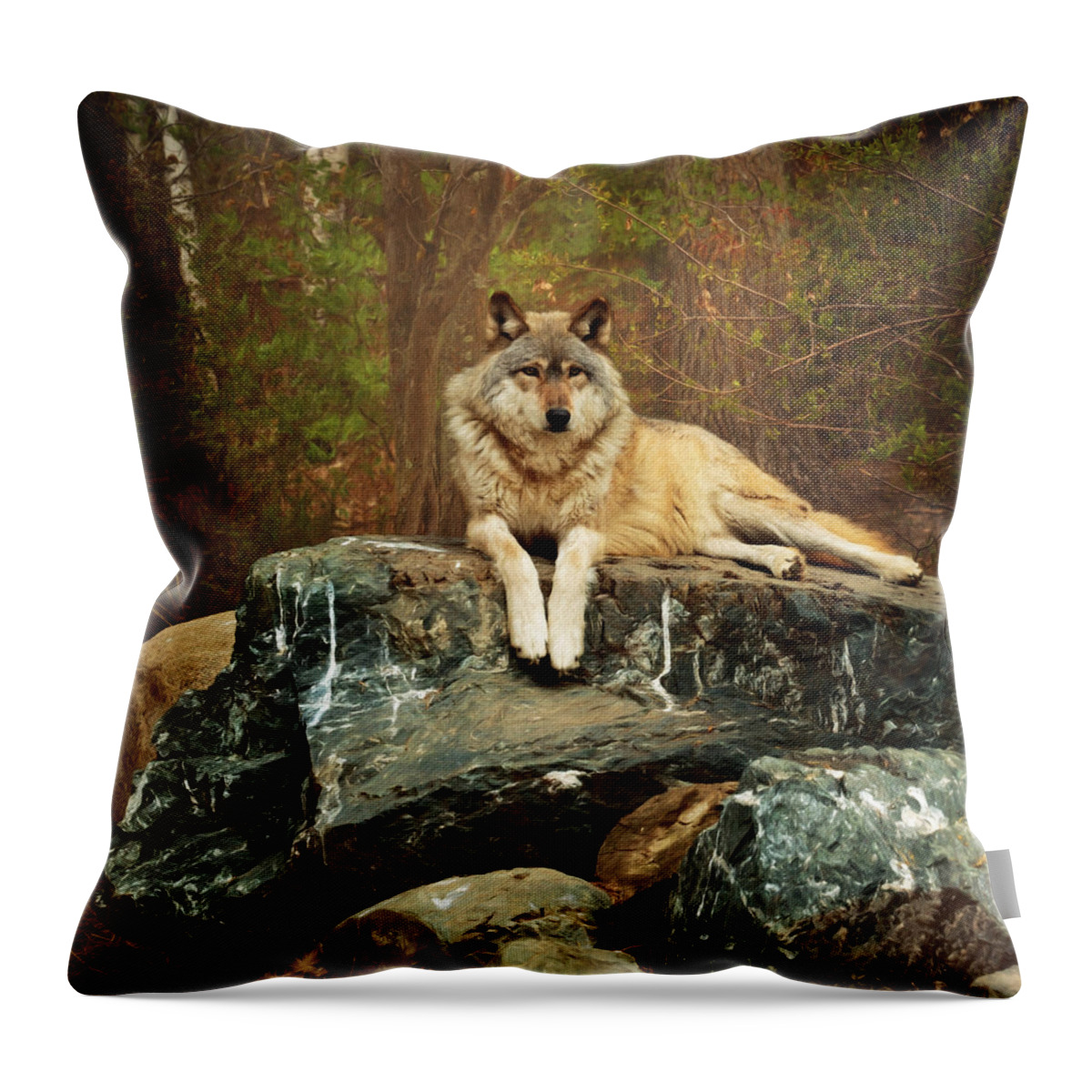 Animal Throw Pillow featuring the photograph Just Chilling by Susan Rissi Tregoning