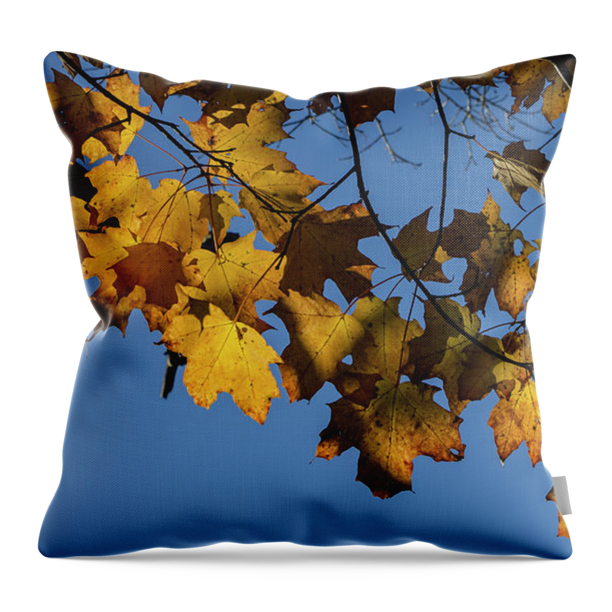 Fall Leaves Throw Pillow featuring the photograph Just Leaves by Kirkodd Photography Of New England