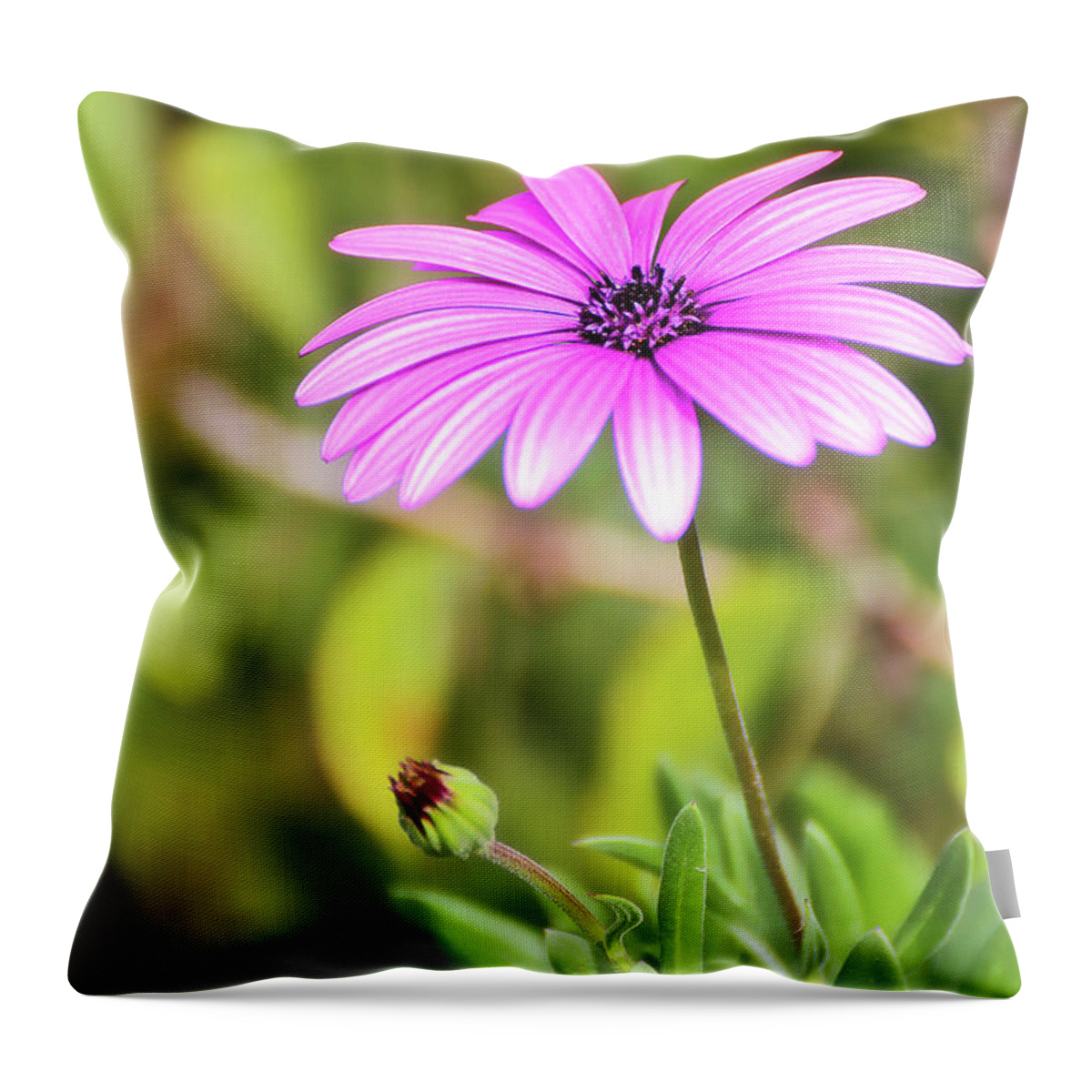 Flower Photography Throw Pillow featuring the photograph Just nature 0666 by Kevin Chippindall