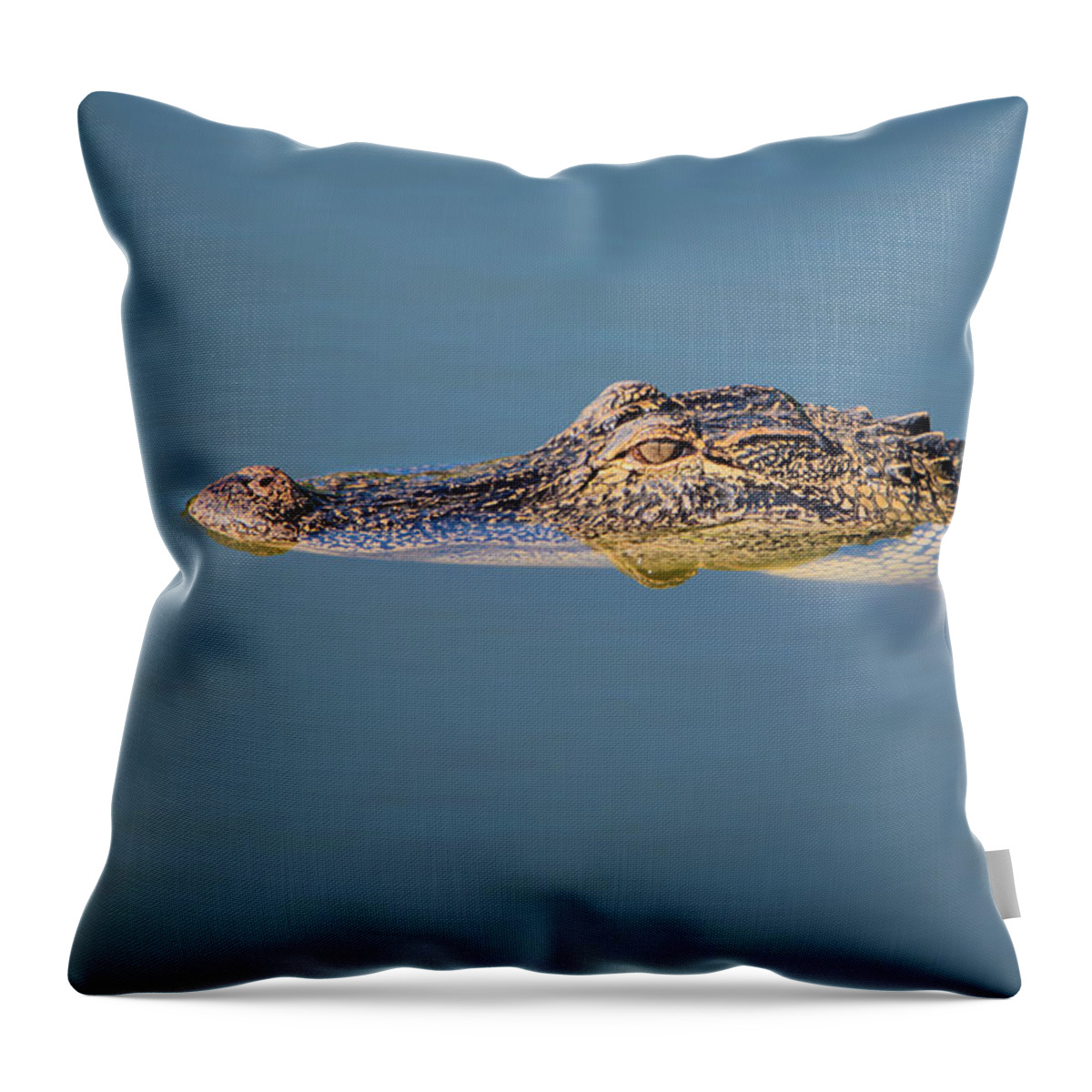 Alligator Throw Pillow featuring the photograph Juvenile Alligator Head in Blue Water by Artful Imagery