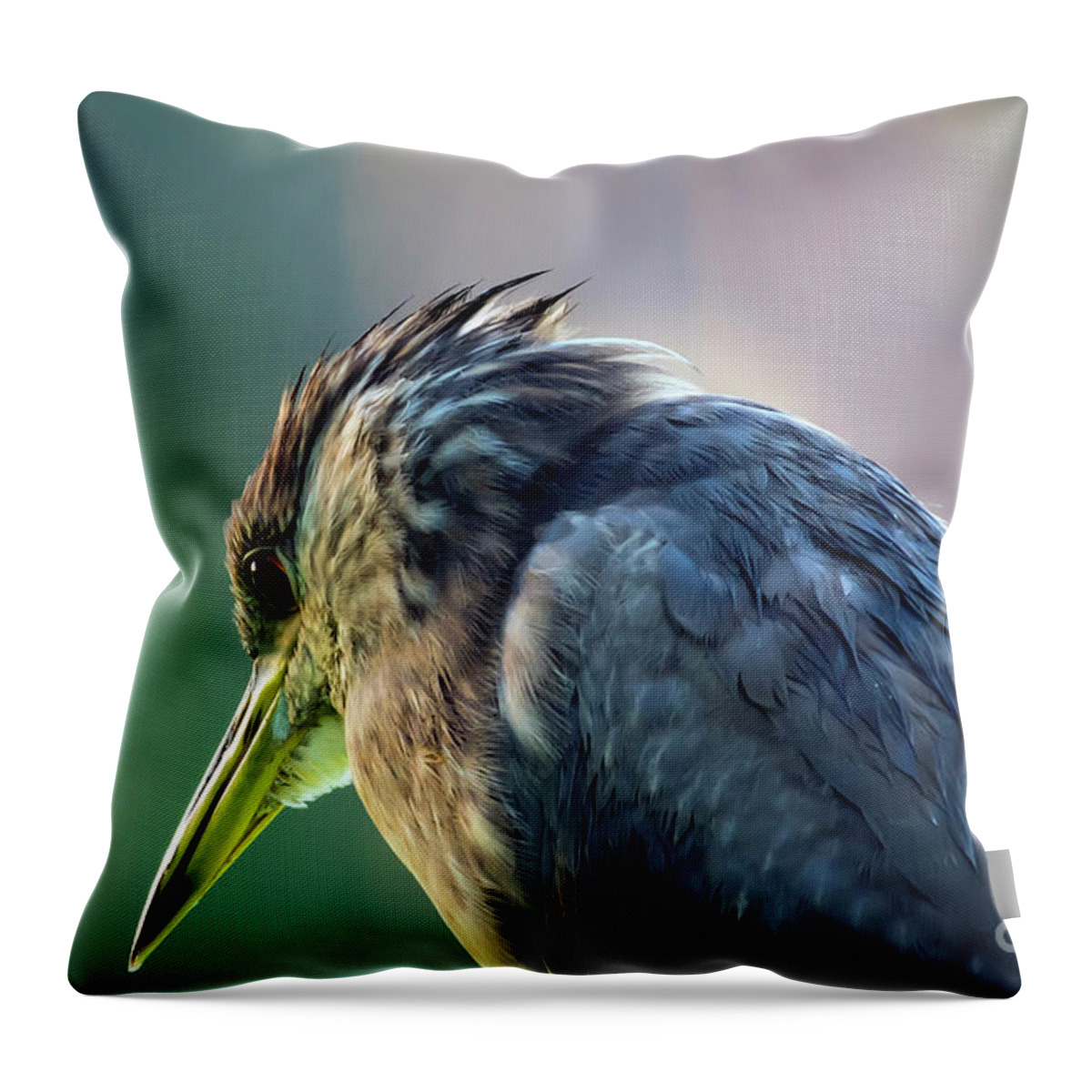 Nature Throw Pillow featuring the photograph Juvenile Black Crowned Night Heron Lost in Deep Thoughts by DB Hayes