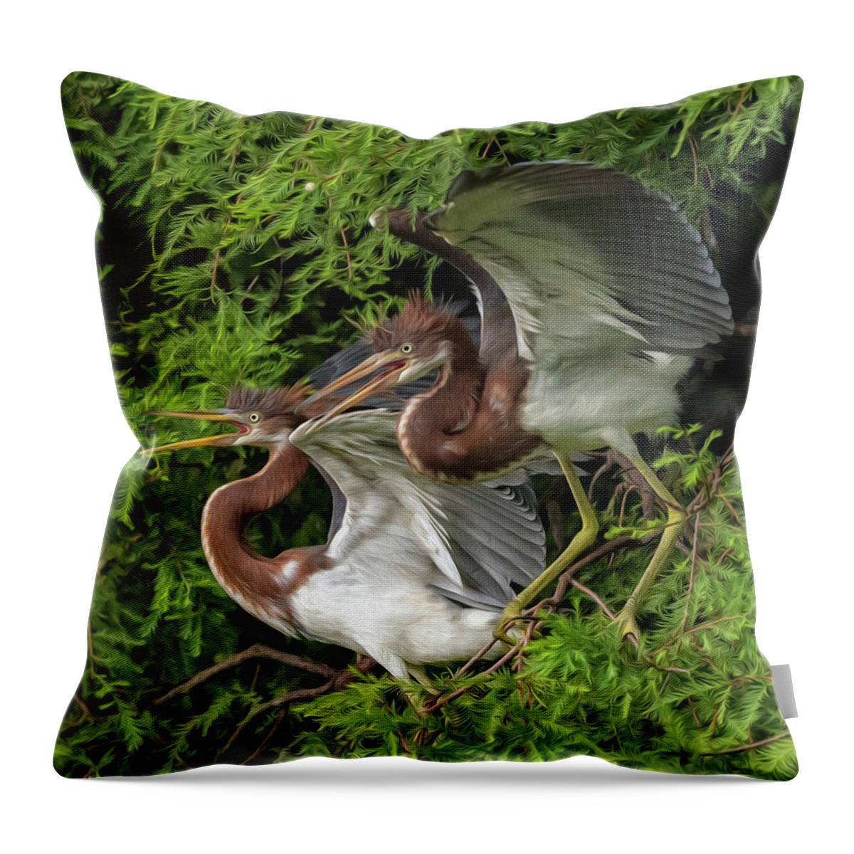 Herons Throw Pillow featuring the digital art Juvenile Tricolored Heron Siblings Painted by DB Hayes