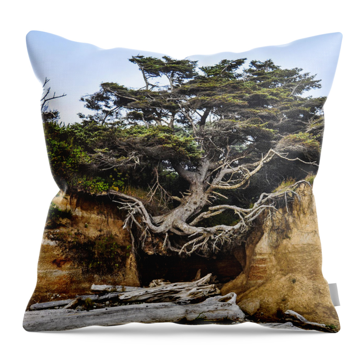 Lone Throw Pillow featuring the photograph Kalaloch Hanging Tree by Pelo Blanco Photo