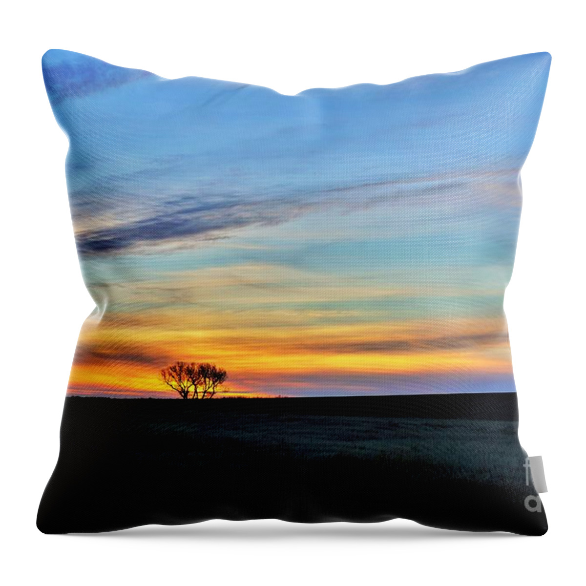Tree Throw Pillow featuring the photograph Kansas sunrise1 by Merle Grenz