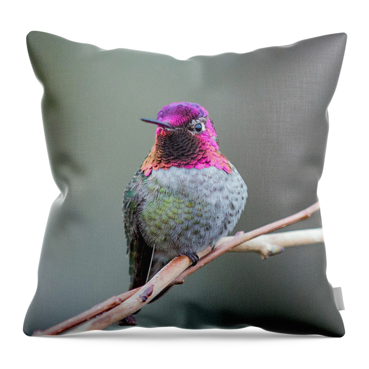 Nature Photography Throw Pillow featuring the photograph Karisa's Hummingbird.1 by E Faithe Lester