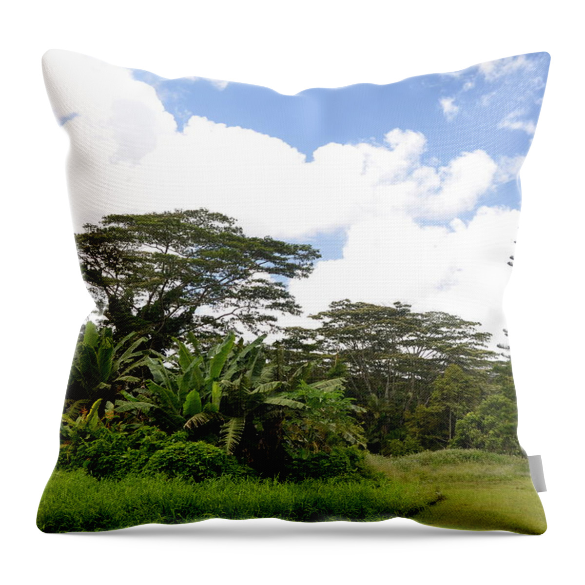 Kauai Throw Pillow featuring the photograph Kauai Hindu Monastery Greenery 2 by Amy Fose