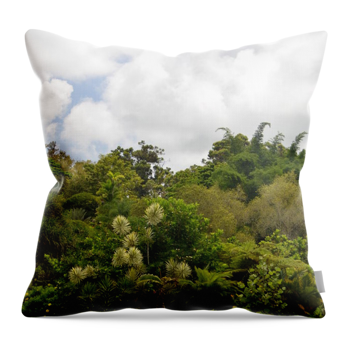 Kauai Throw Pillow featuring the photograph Kauai Hindu Monastery Greenery by Amy Fose