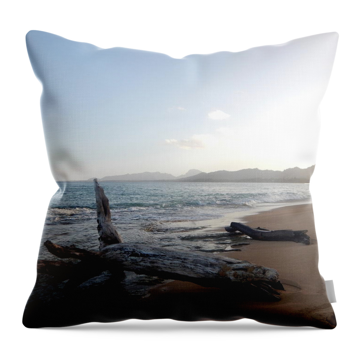 Kauai Throw Pillow featuring the photograph Kauai Kapa'a Coast 2 by Amy Fose