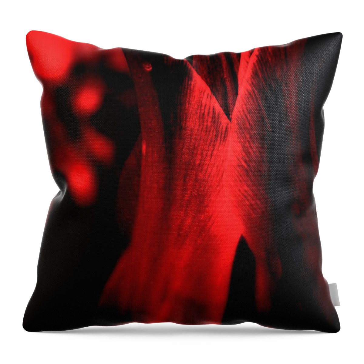 Flower Throw Pillow featuring the photograph Kiss Me You Fool by Julie Lueders 