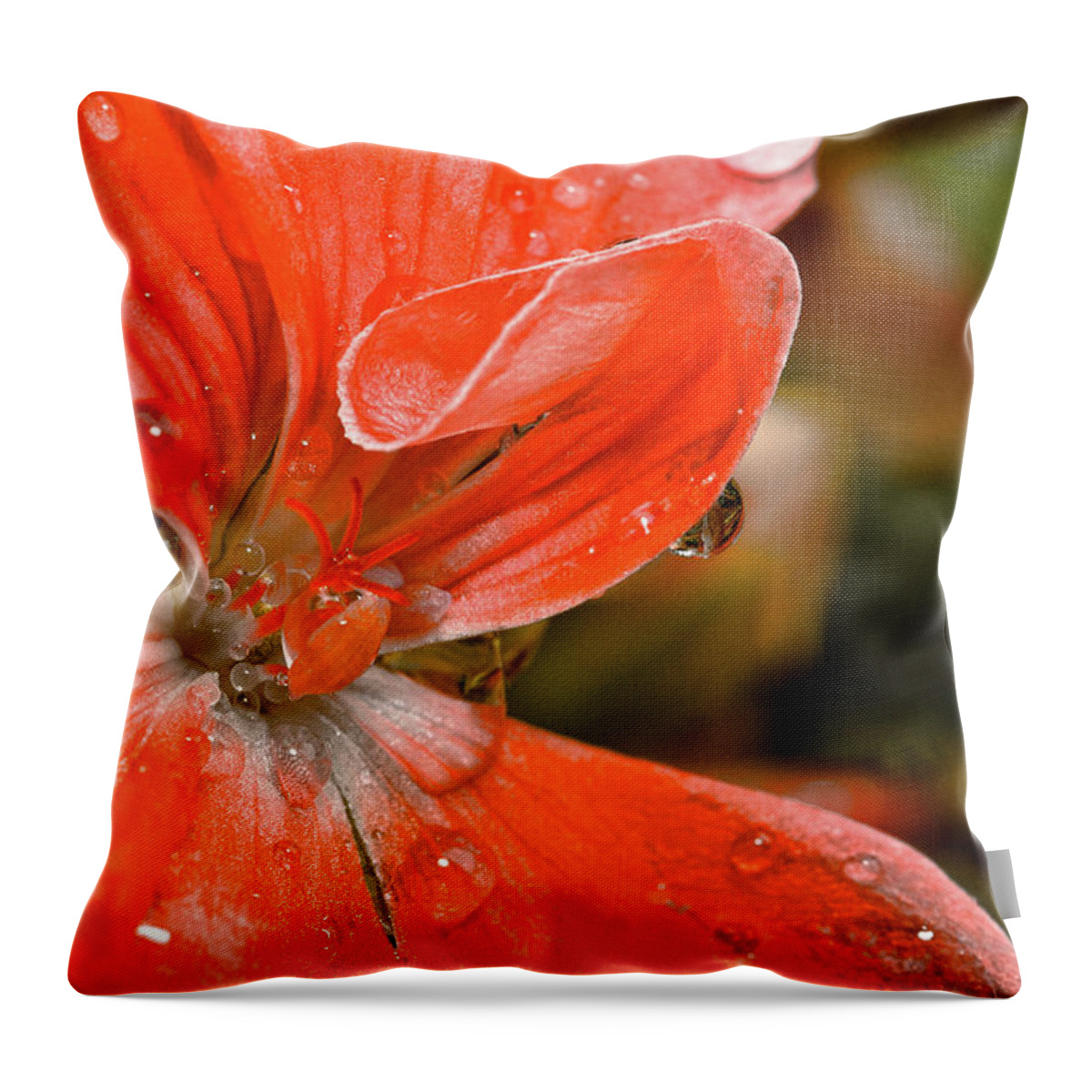 Flower Throw Pillow featuring the photograph Kissed By The Rain by Christopher Holmes