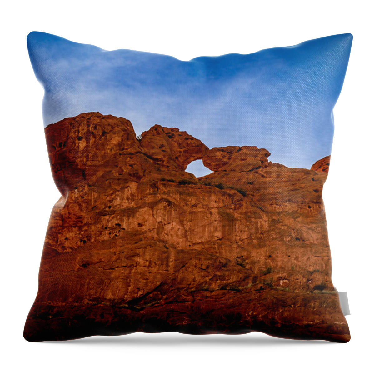 Blue Sky Throw Pillow featuring the photograph Kissing Camels in the Gardens by Ron Pate