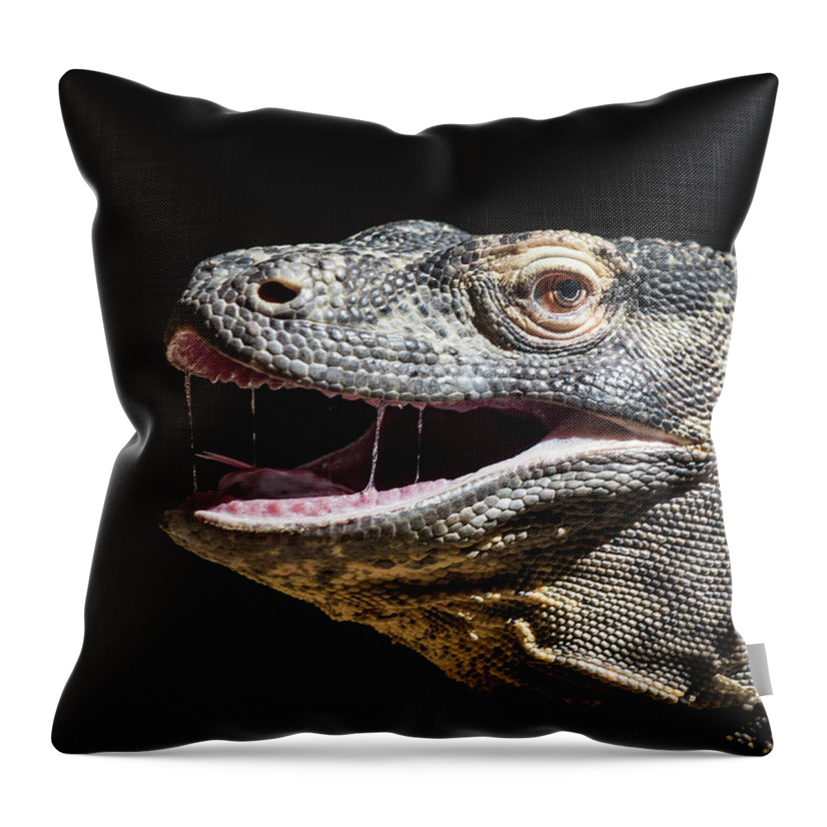 Zoo Throw Pillow featuring the photograph Komodo Dragon Profile by Bill Cubitt
