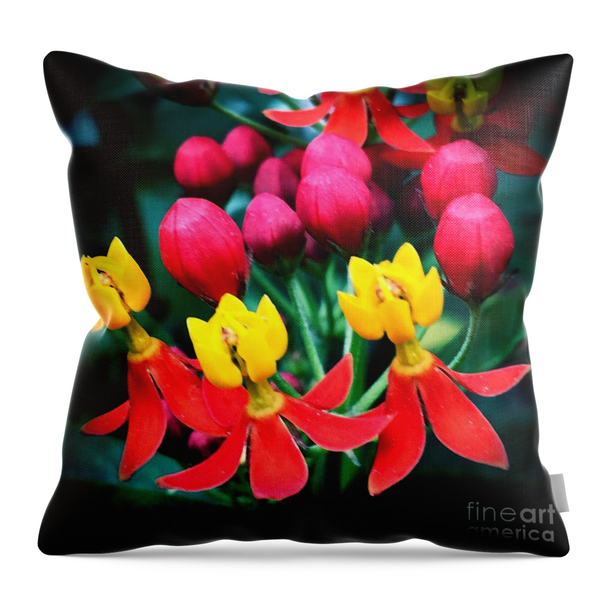 Macro Throw Pillow featuring the photograph Ladies in Waiting by Vonda Lawson-Rosa