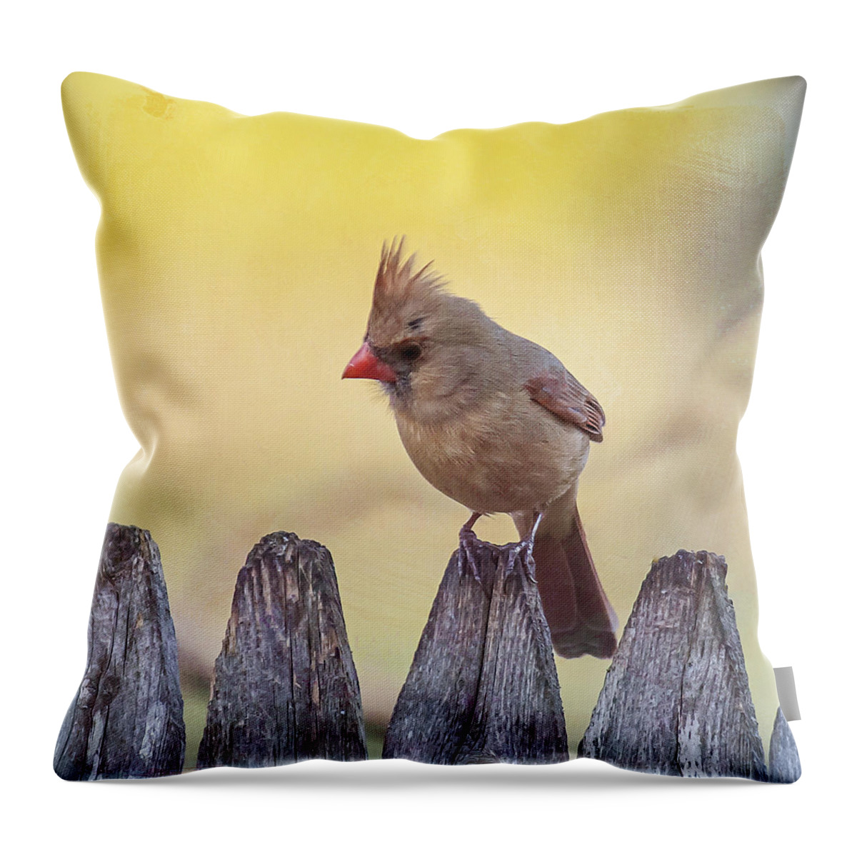 Bird Throw Pillow featuring the photograph Lady Cardinal by Cathy Kovarik