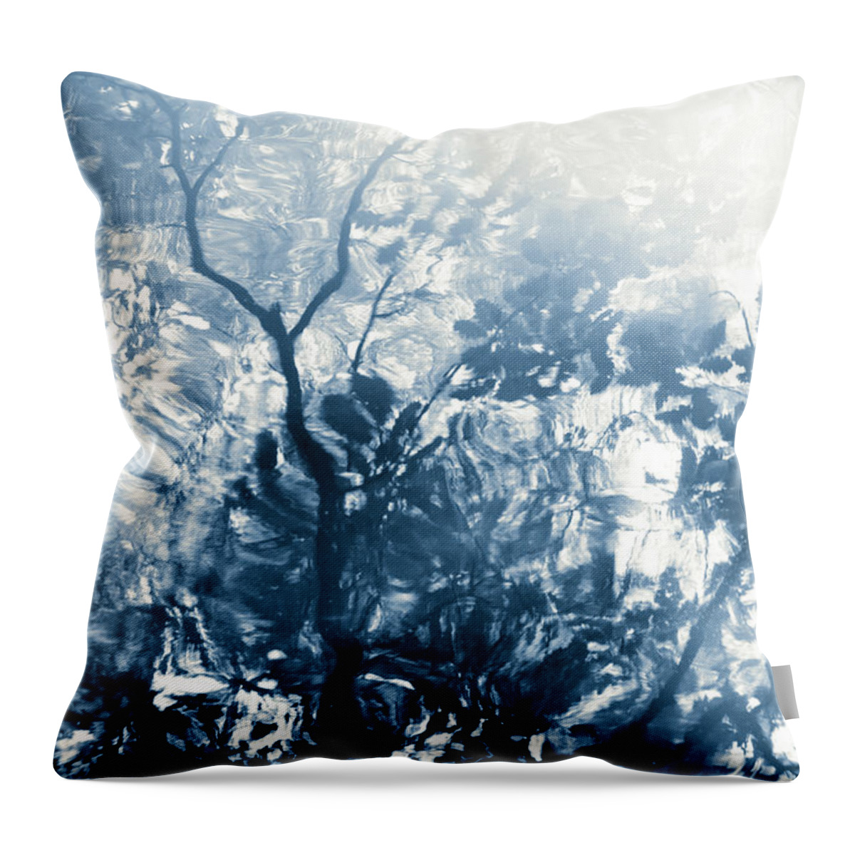 Nature Throw Pillow featuring the photograph Lago De La Luz by Dorit Fuhg