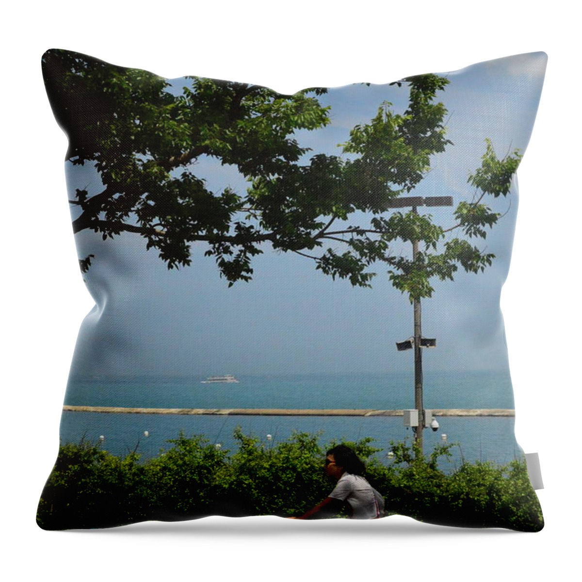 Tree Throw Pillow featuring the photograph Lake Michigan by Michelle Hoffmann