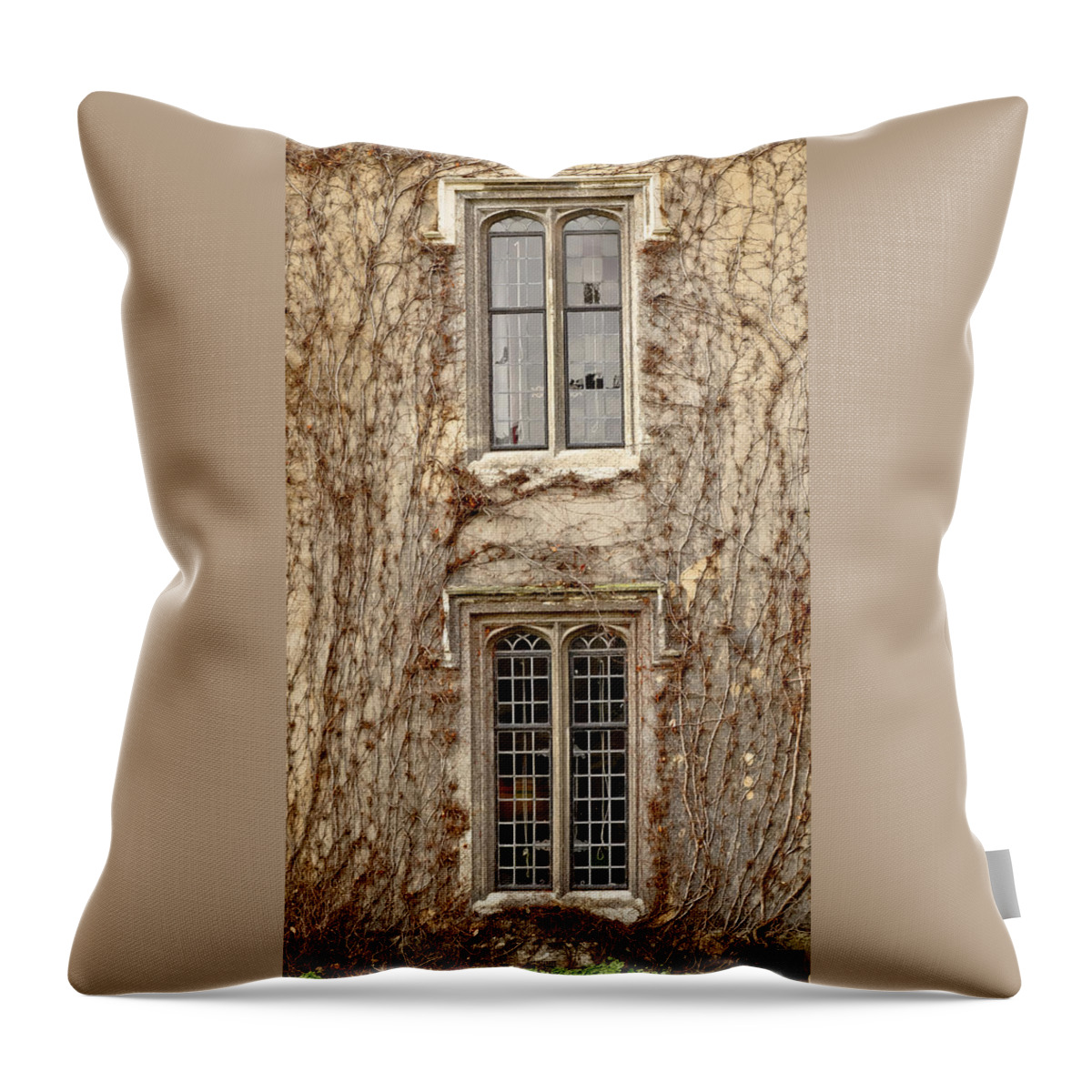 Winter Throw Pillow featuring the photograph Lancet windows and climbers around them. Winter time. by Elena Perelman