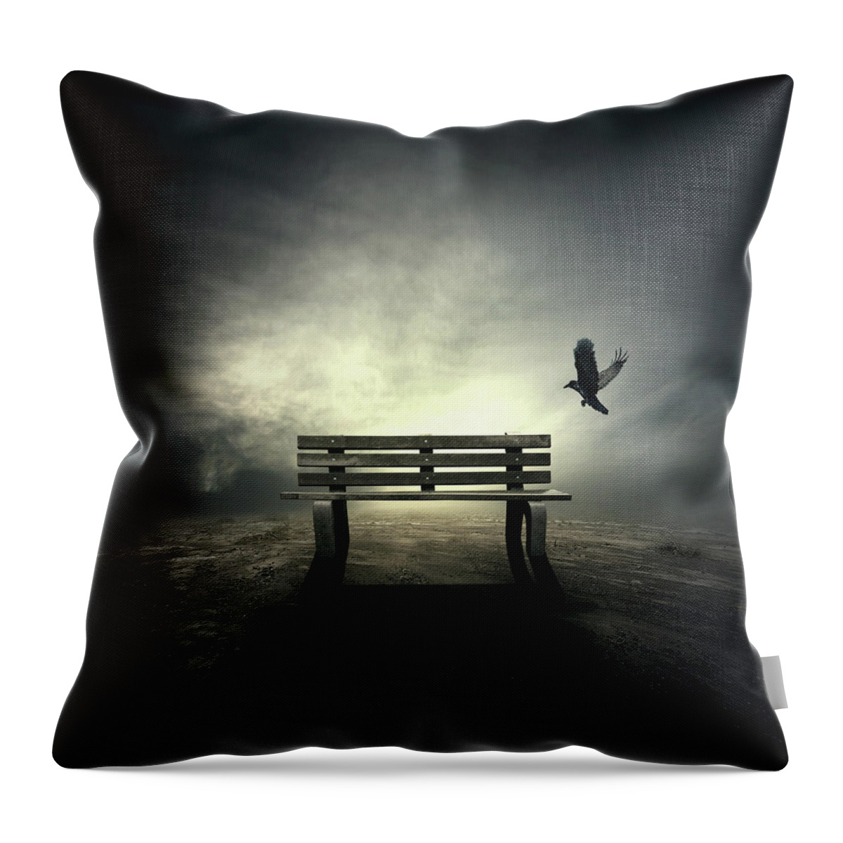 Bench Throw Pillow featuring the digital art Landing by Zoltan Toth