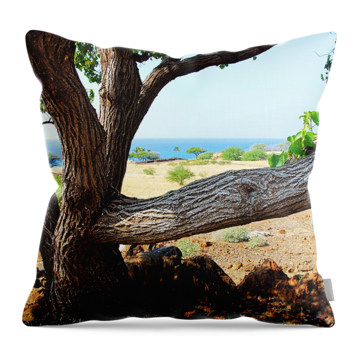 Lapakahi View Throw Pillow featuring the photograph Lapakahi View by Jennifer Robin
