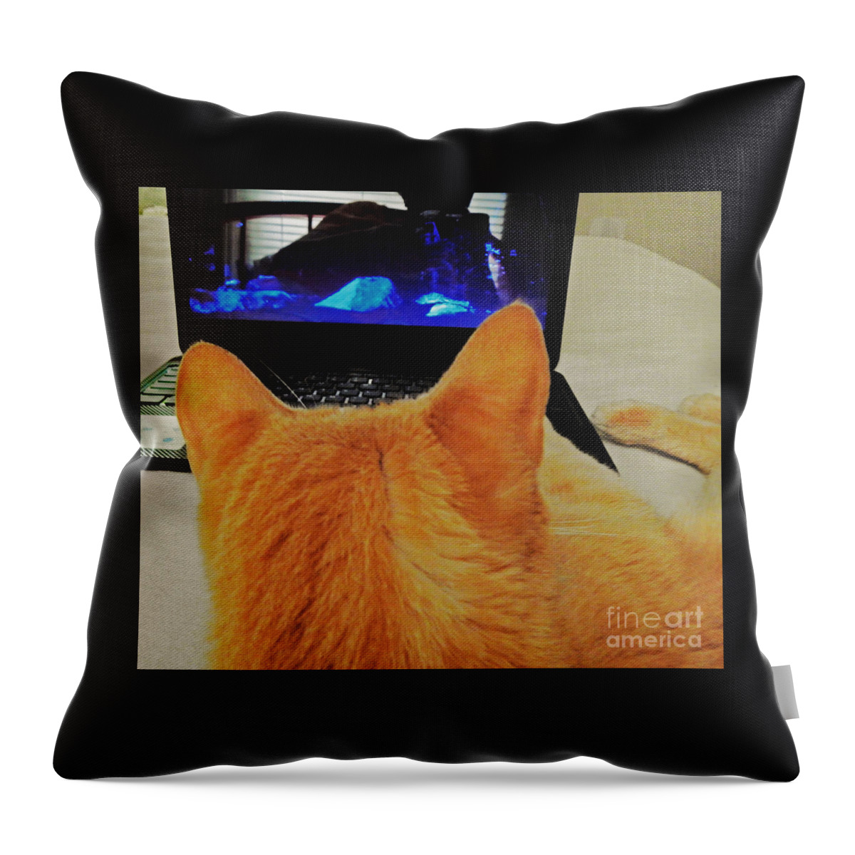 Feline Throw Pillow featuring the photograph Laptop Cat by Jan Gelders