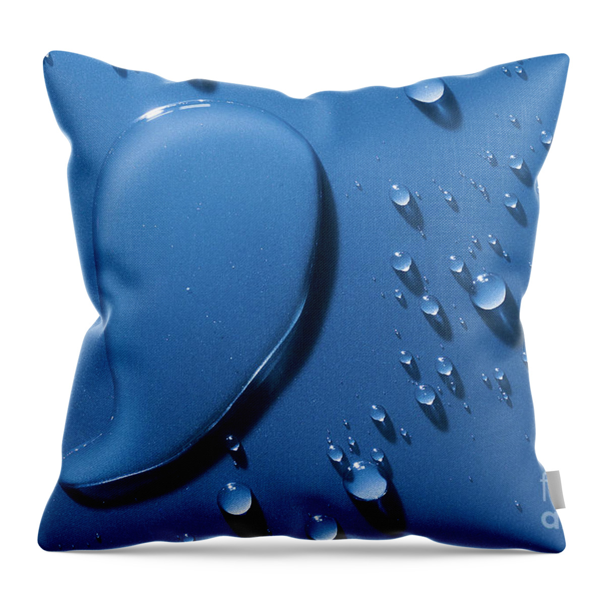 Water Throw Pillow featuring the photograph Large and small water droplets viewed from above by Simon Bratt