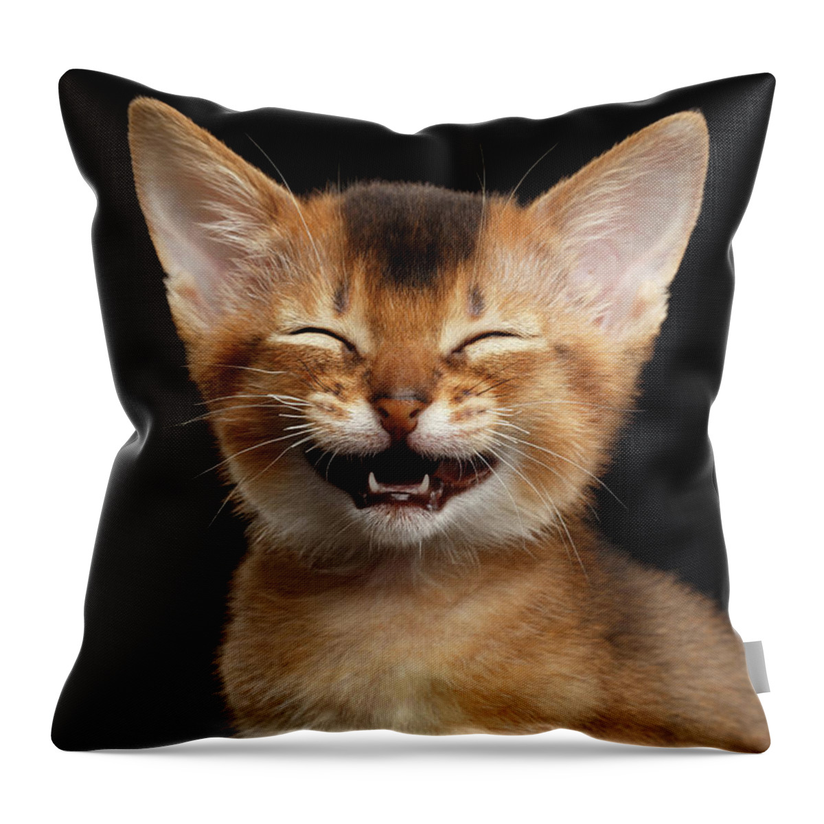 Kitten Throw Pillow featuring the photograph Laughing Kitten by Sergey Taran