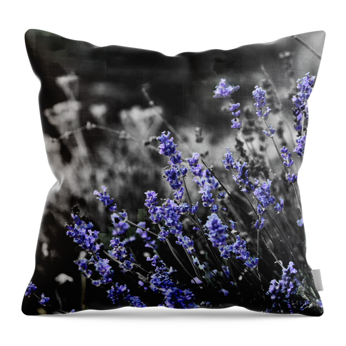 Garden Throw Pillow featuring the photograph Lavender B and W by April Burton