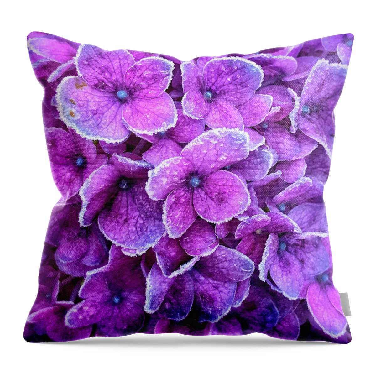 Delphinium Throw Pillow featuring the photograph Lavender Ice by Jill Love
